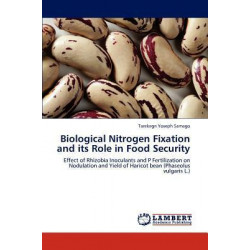 Biological Nitrogen Fixation and Its Role in Food Security