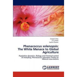 Phenacoccus Solenopsis