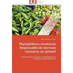 Phytophthora Nicotianae Responsable de Nï¿½croses Racinaires Sur Piment