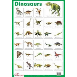 Dinosaurs - Flash Cards