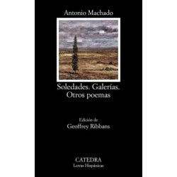 Soledades, Galerias, Otros Poemas: Soledades, Galerias, Otros Poemas