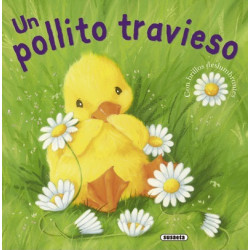 Un pollito travieso / A naughty chick
