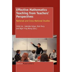 Effective Mathematics Teaching from Teachers' Perspectives