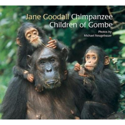 Chimpanzee Children of Gombe